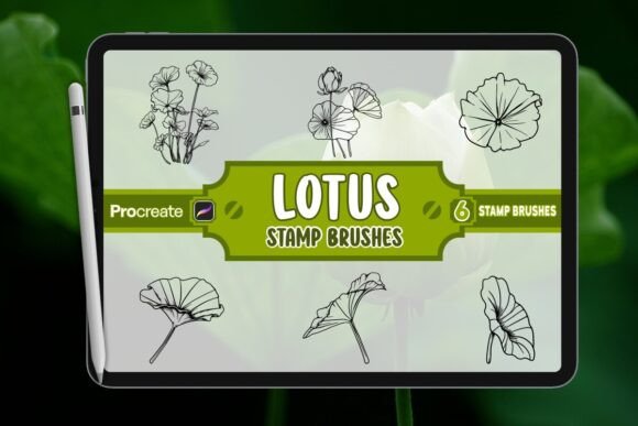Lotus Brush Stamp Set for Procreate: A Practical Guide to Using It Right
